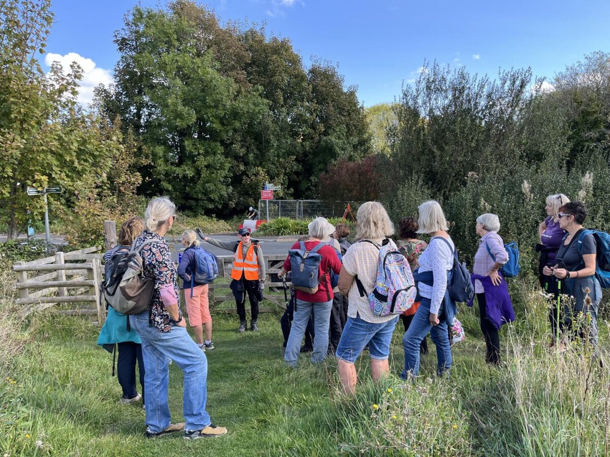 Group of walkers